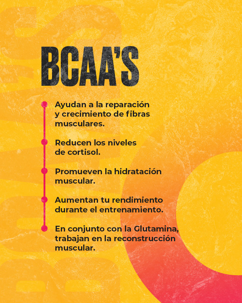Fichas Web SIN FOTO BCAA_S