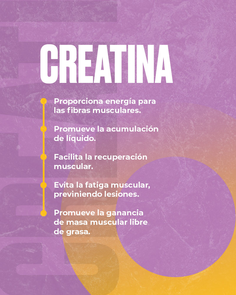 Fichas Web SIN FOTO CREATINA