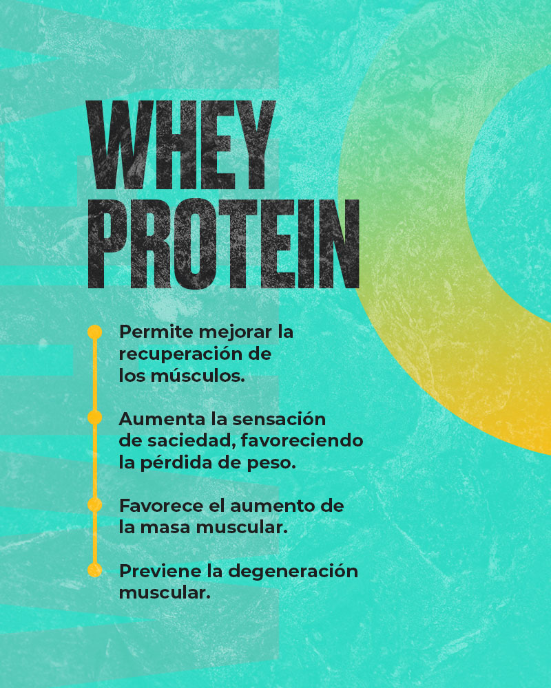 Fichas Web SIN FOTO WHEY